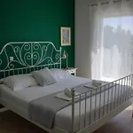 Minkini Вилла